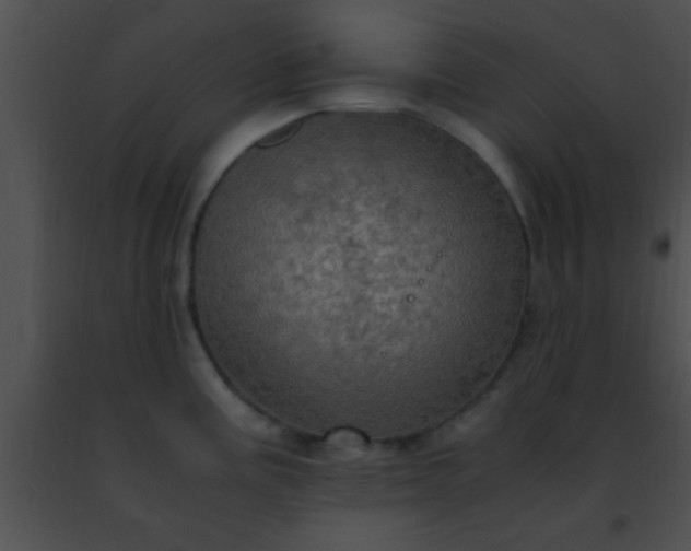 X0000091501195200708301951