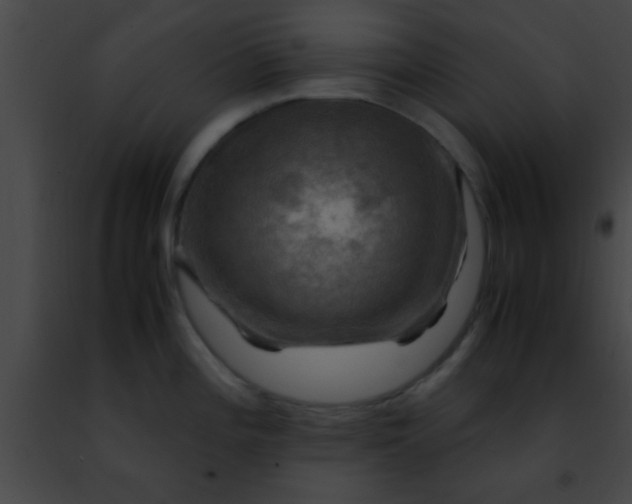 X0000091501196200708301951