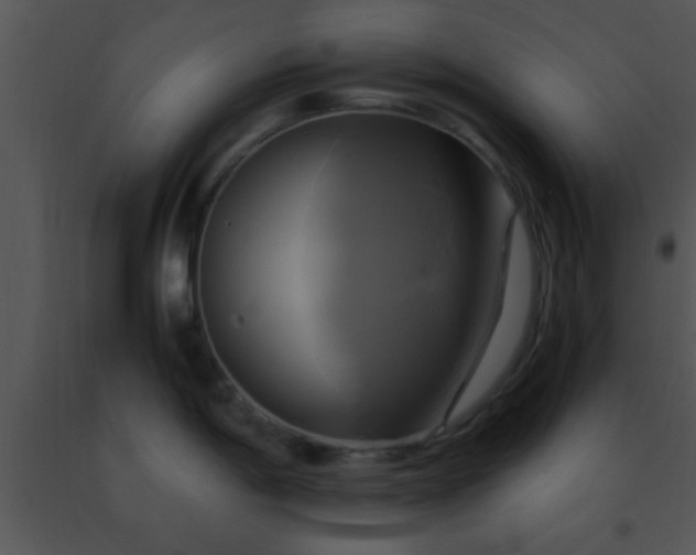 X0000091501198200708301951