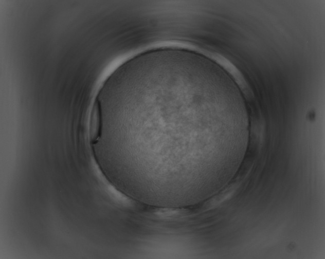 X0000091501199200708301951