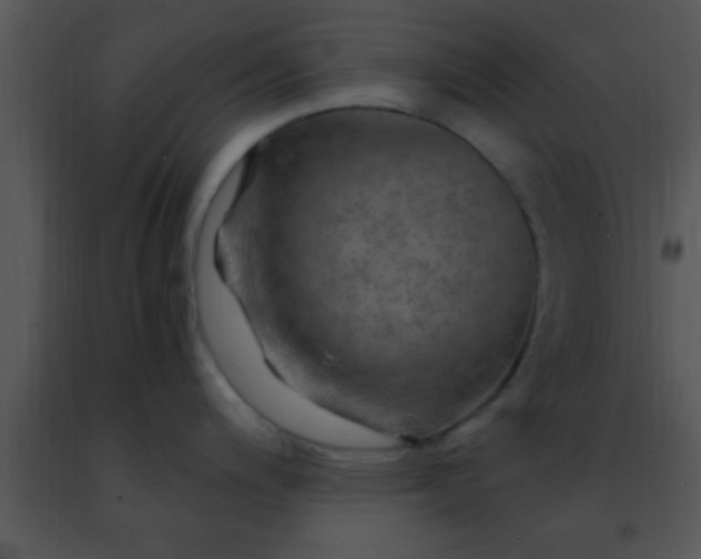 X0000091501200200708301951