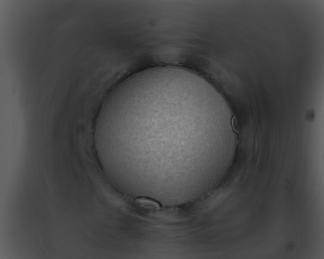 X0000091501201200708301950