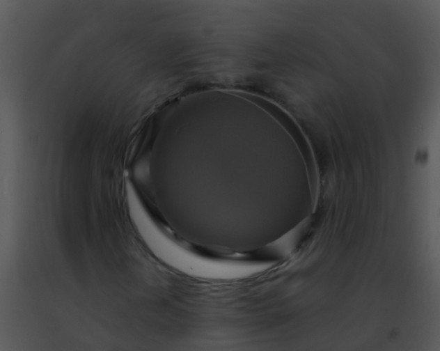 X0000091501202200708301950