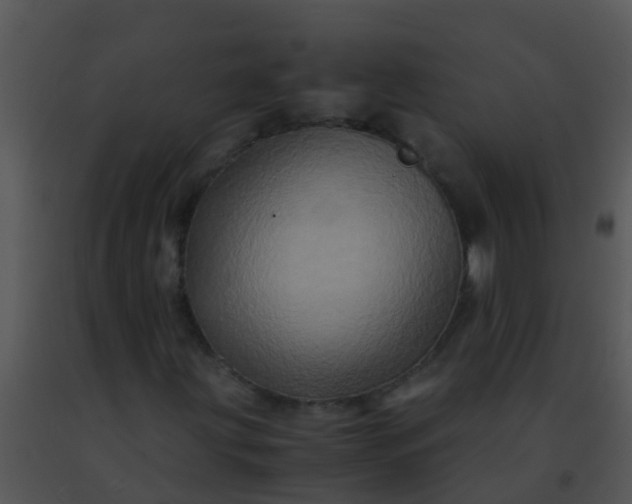 X0000091501203200708301950