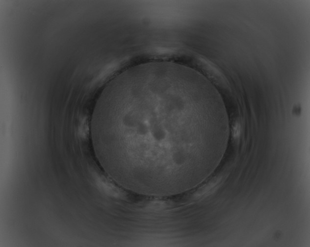 X0000091501204200708301950