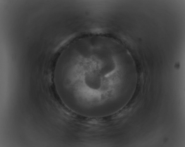 X0000091501205200708301950