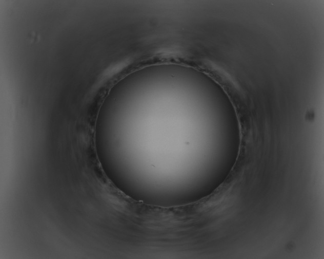 X0000091501207200708301950