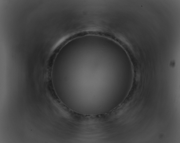 X0000091501208200708301950