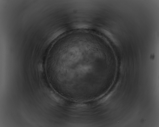 X0000091501209200708301950