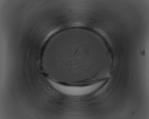 X0000091501210200708301950