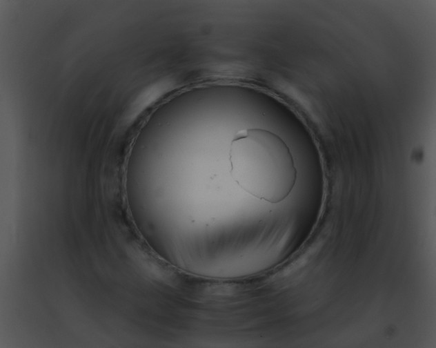 X0000091501211200708301951