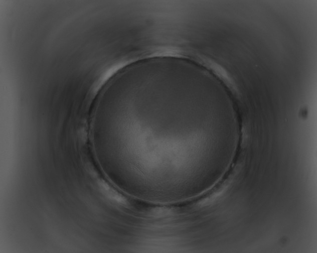 X0000091501212200708301951