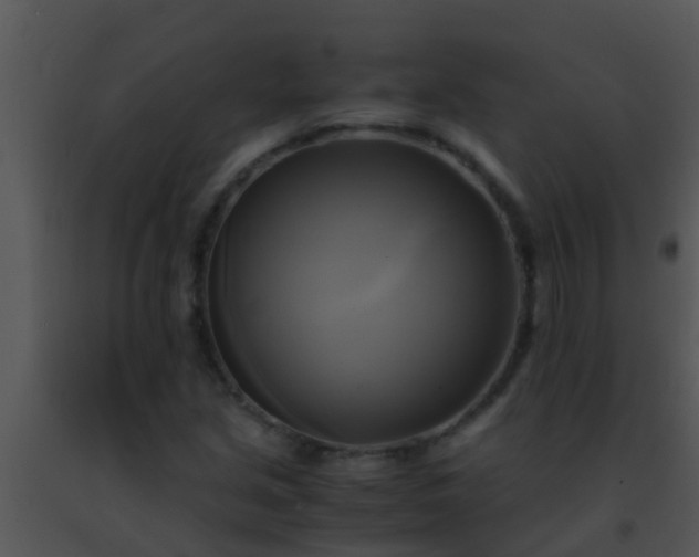 X0000091501213200708301951