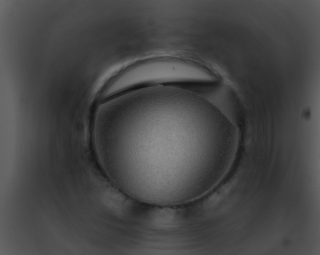 X0000091501214200708301951