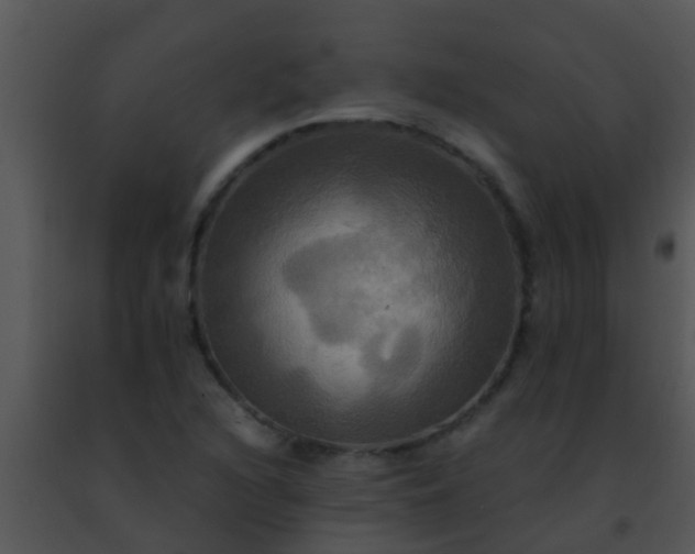 X0000091501216200708301951