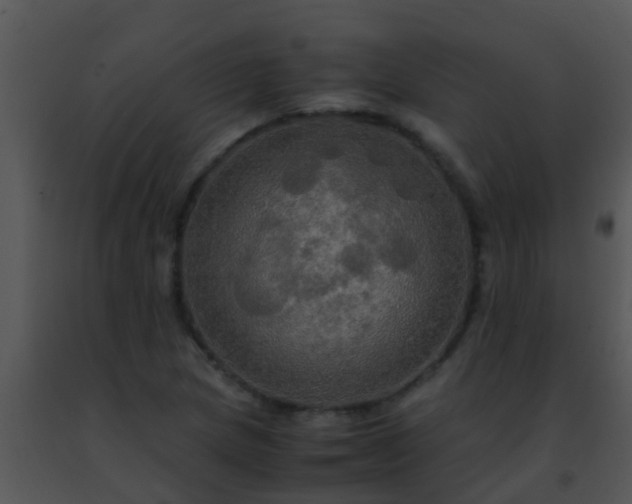 X0000091501217200708301951