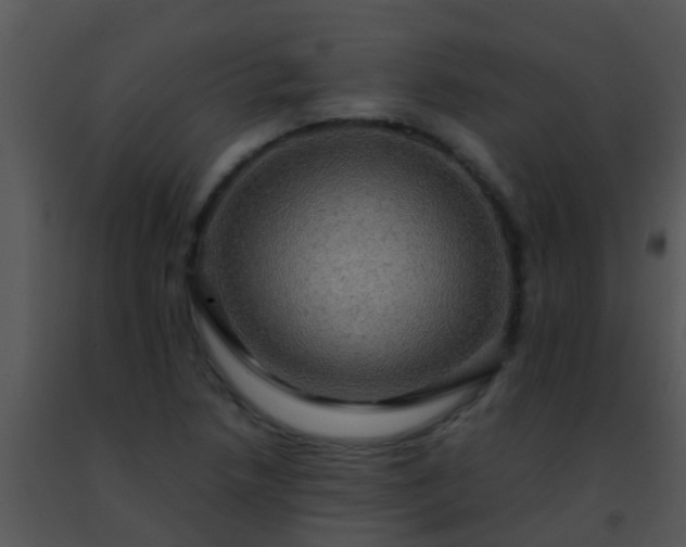 X0000091501218200708301951