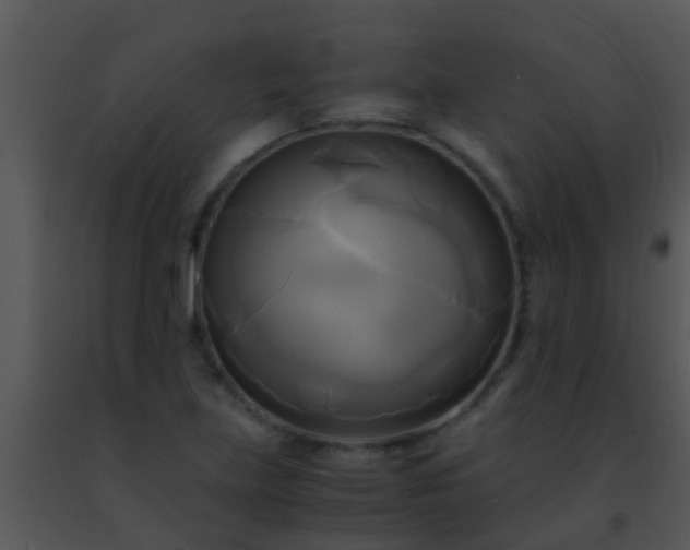 X0000091501219200708301951