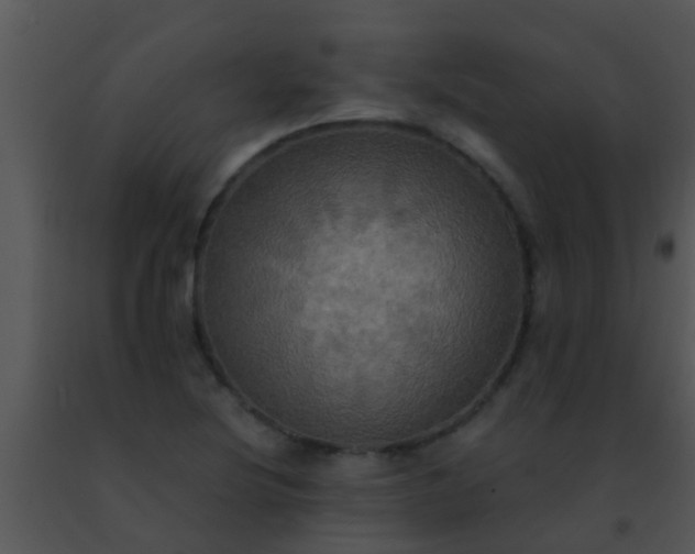 X0000091501220200708301951