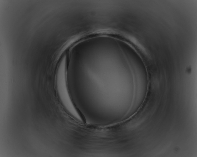 X0000091501221200708301951