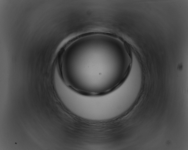 X0000091501222200708301951