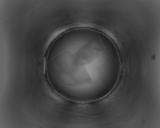 X0000091501223200708301951