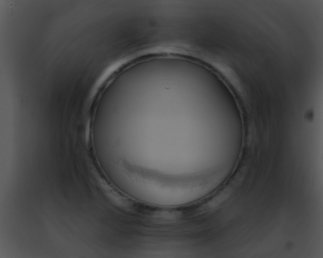 X0000091501224200708301951