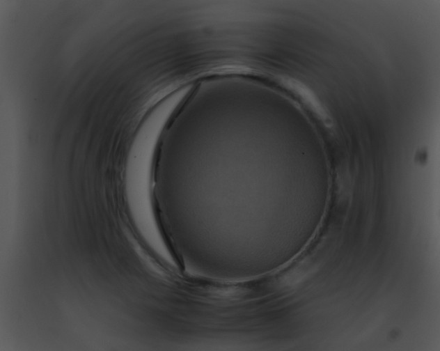 X0000091501225200708301951