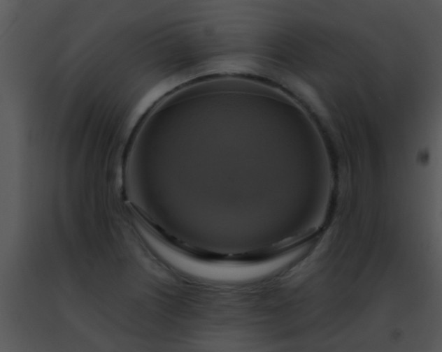 X0000091501226200708301951