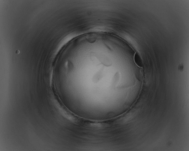 X0000091501227200708301951