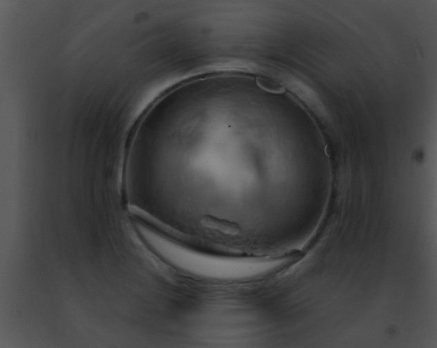 X0000091501228200708301951