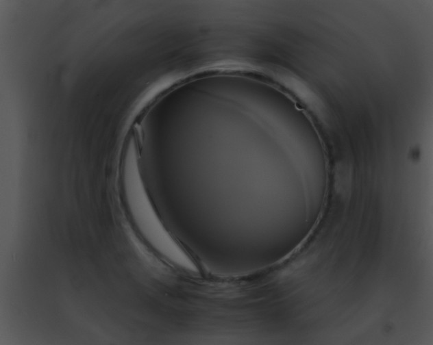 X0000091501229200708301951