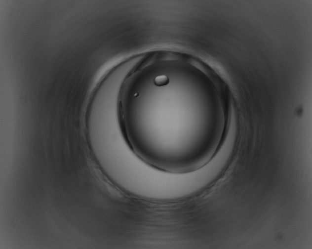 X0000091501230200708301951