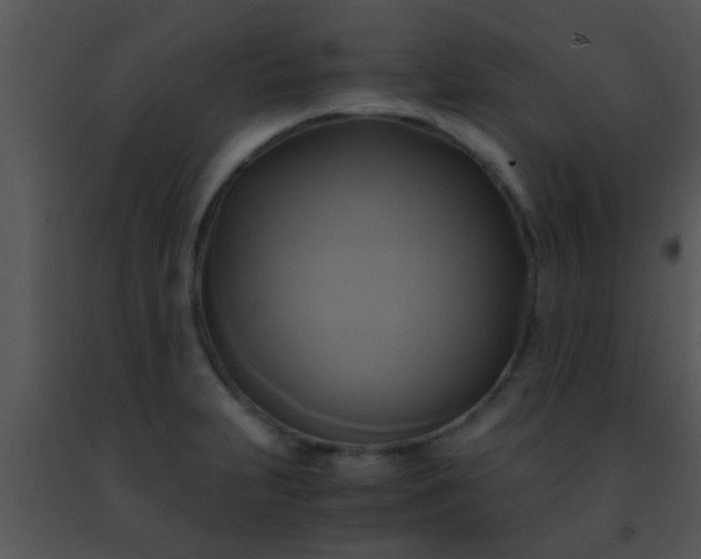 X0000091501231200708301951