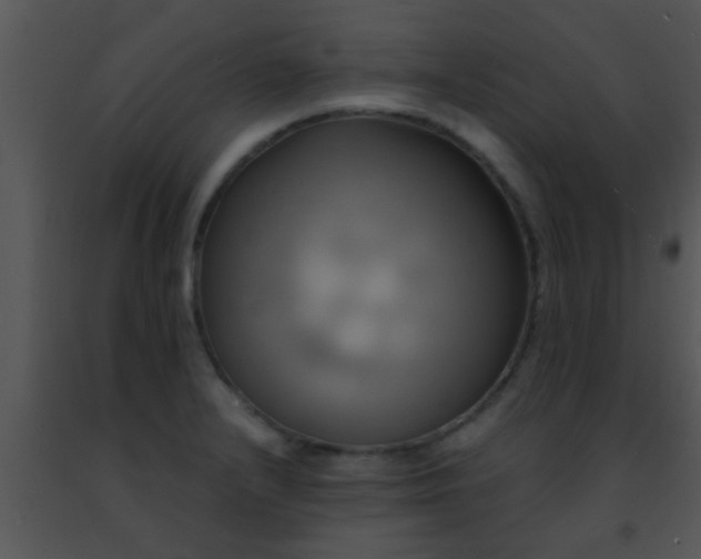 X0000091501232200708301951