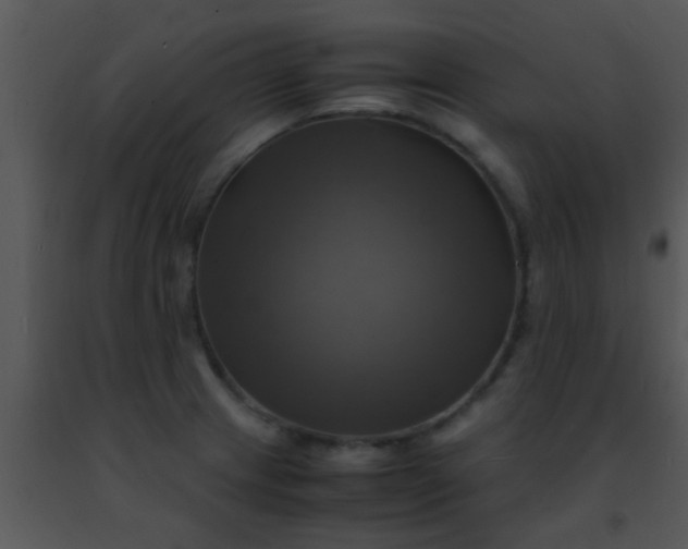 X0000091501233200708301951