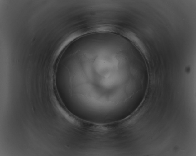 X0000091501235200708301951