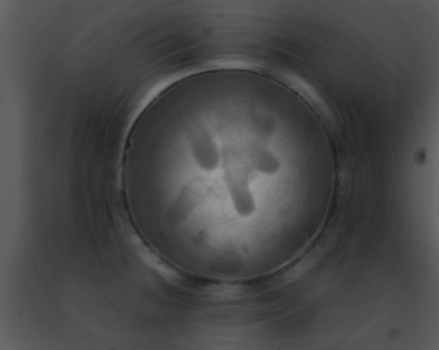 X0000091501236200708301951