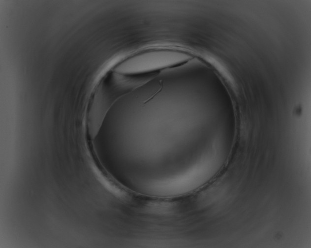 X0000091501237200708301951