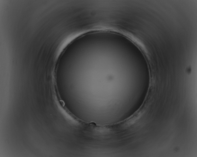 X0000091501239200708301951