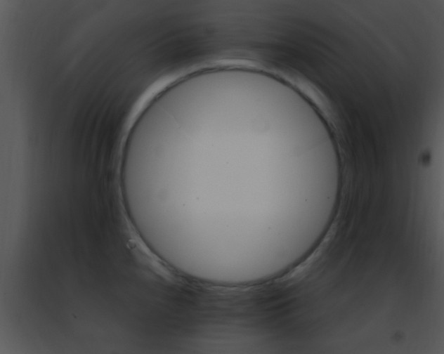 X0000091501240200708301951