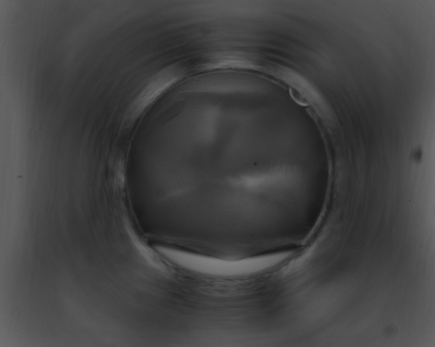 X0000091501241200708301951