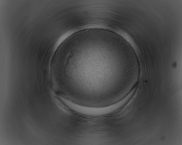 X0000091501242200708301951