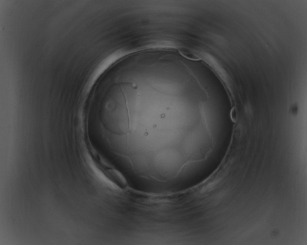 X0000091501243200708301951