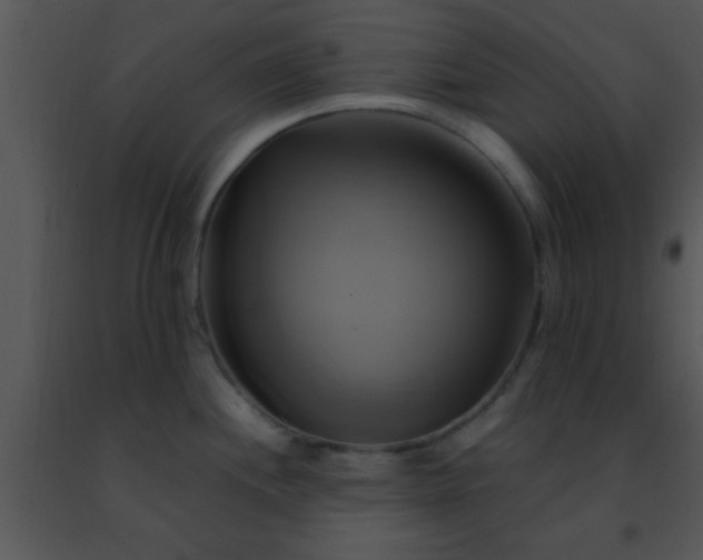 X0000091501244200708301951