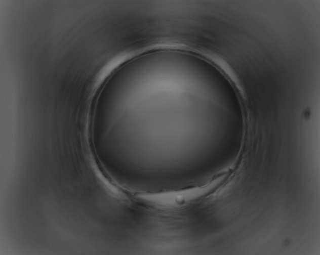 X0000091501245200708301951