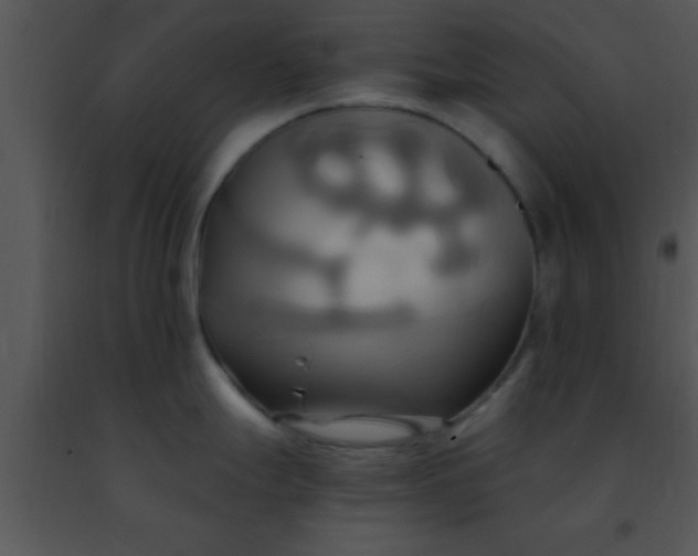 X0000091501247200708301951