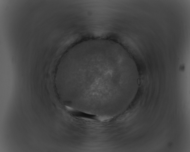 X0000091501249200708301950