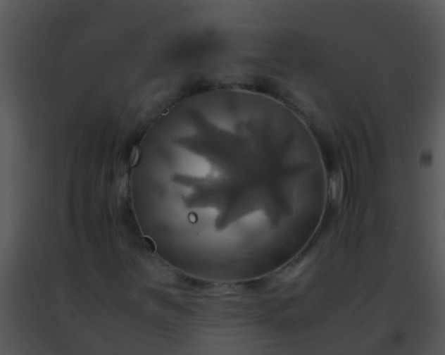 X0000091501251200708301950