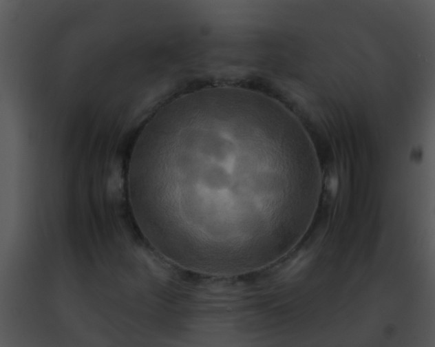 X0000091501252200708301950